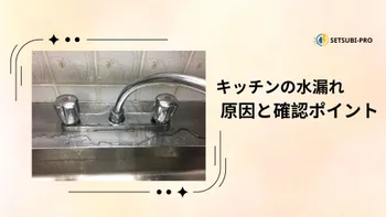 キッチンのシンク下の水漏れを確認する様子