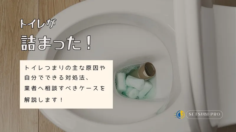 トイレの水が流れない様子
